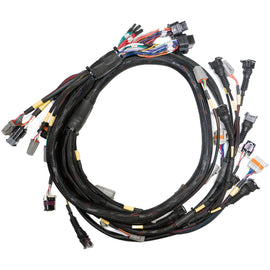 Replacement Base Harness GM LS GEN3/4