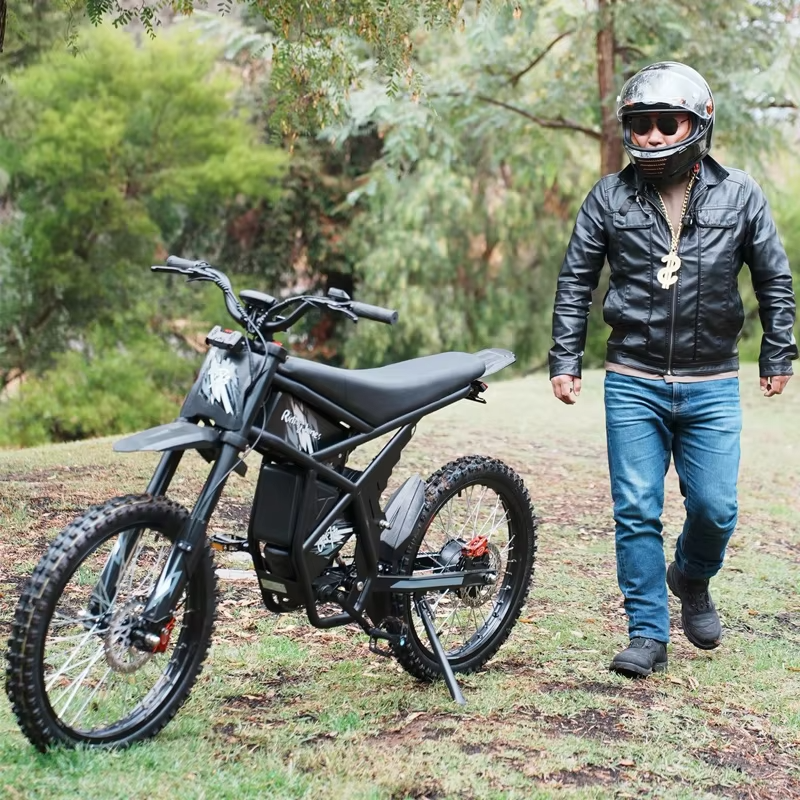 fat tire electric bike