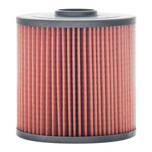 Load image into Gallery viewer, Fuel Filter Cartridge P502226