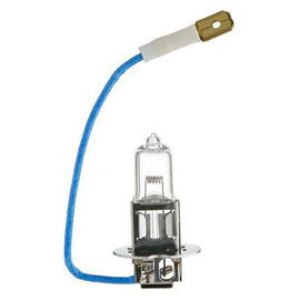 Repco H3 Globe Standard 24V 70W Bl