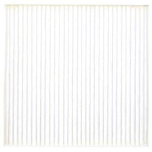 Load image into Gallery viewer, Ryco Cabin Air Filter - Mitsubishi Mirage La Rca321P
