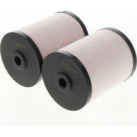Fuel Filter (Twin Set) Holden Colorado R2833P