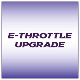 E-Throttle upgrade on G4X Plugin ECU