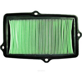 Ryco Air Filter