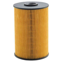 Load image into Gallery viewer, Fuel Filter Cartridge P502391