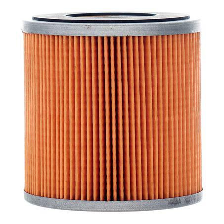 Fuel Filter Cartridge P550392