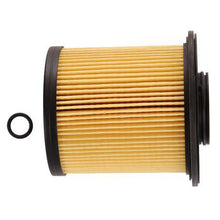 Load image into Gallery viewer, Ryco Fuel Filter (Cartridge) R2643P