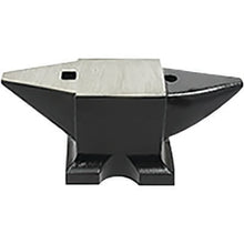Load image into Gallery viewer, 50kg S.G. Iron Anvil