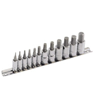 Load image into Gallery viewer, 12 Piece 1/4" &amp; 3/8" Drive Hex Bit Socket Set