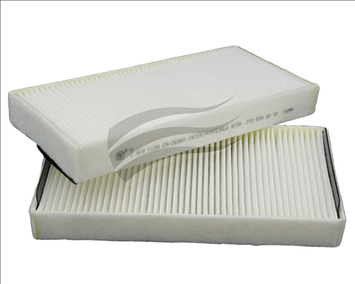 Cabin Filter Fits Rca141P Ca-26040-S