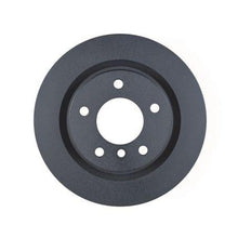 Load image into Gallery viewer, RN1543V Rear Rotors For BMW