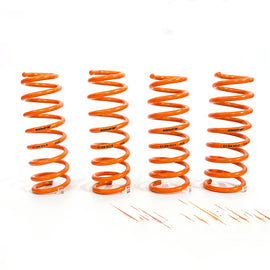 Toyota Hilux Coil Spring / Spring Kit - 2005-2024