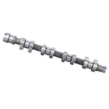 RFN Engine Ductile Iron Cylinder Camshaft OEM 9651877488 0801CA for CITROEN/PEUGEOT406 407 FIAT
