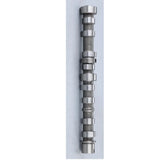 46823508  Camshaft Fits  for ALFA ROMEO Mito 1.3JTDM Inlet Side  Genuine Inlet Side Camshaft  Fits Fiat 500  Febi  2jz 103719