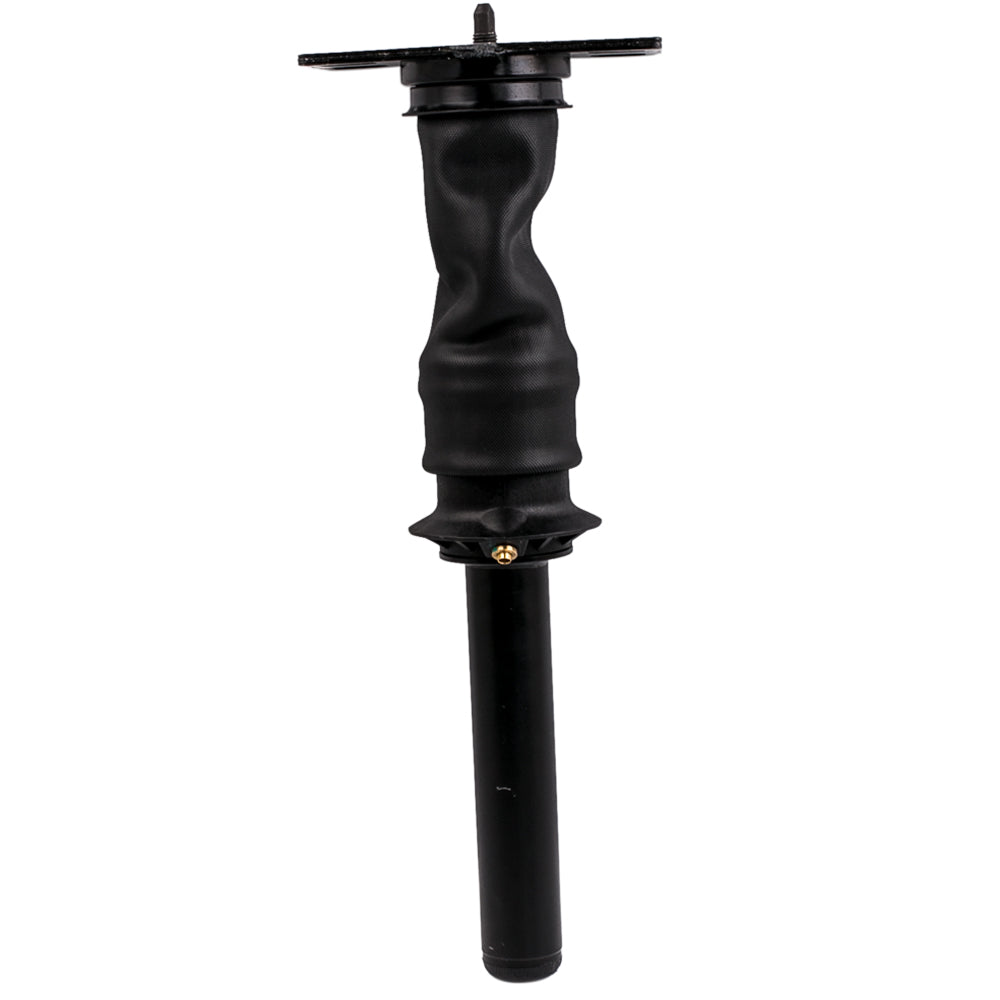 Air Cab Shock Absorber Air Strut for International ProStar 3595977C95 3595977C96