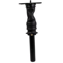 Load image into Gallery viewer, Air Cab Shock Absorber Air Strut for International ProStar 3595977C95 3595977C96