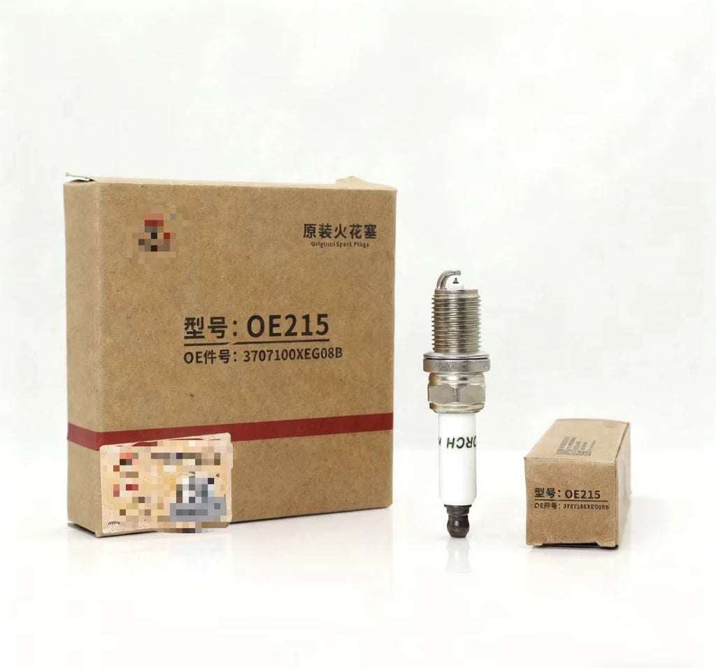 Nissan Tiida Navara X-Trail Spark Plug 3707100XEG08B