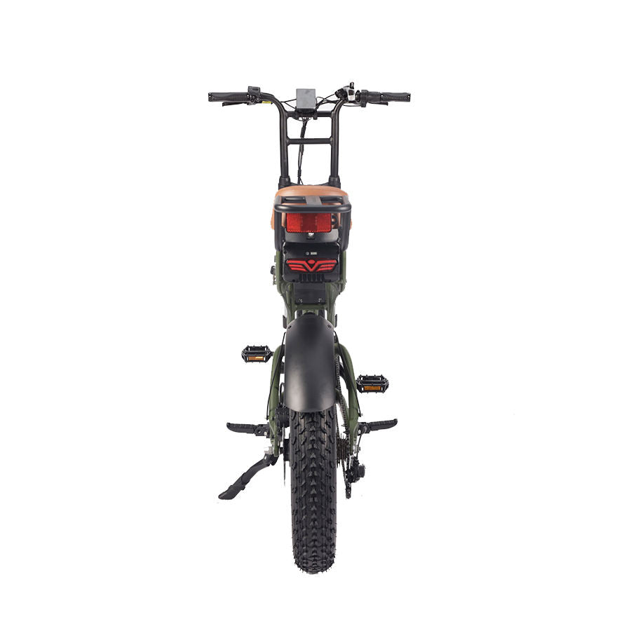 Electric Mountain Bike High Face 20" Fat Tire Electric Mountain Bike with 48V Lithium Battery, Rear Hub Motor, LCD Display & Suspension Fork