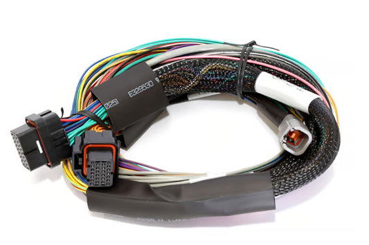 Haltech Elite 2500 & 2500 T Basic Universal Wire-in Harness