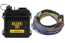Load image into Gallery viewer, Haltech Elite 750 ECU / Elite 750 + Basic Universal Wire-in Harness Kit