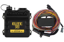 Load image into Gallery viewer, Haltech Elite 750 ECU / Elite 750 + Premium Universal Wire-in Harness Kit