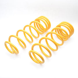 Nissan Navara NP300 Coil Spring / Spring Kit - 2015-2024