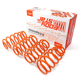 Toyota Camry Coil Spring / Spring Kit - 2007-2024