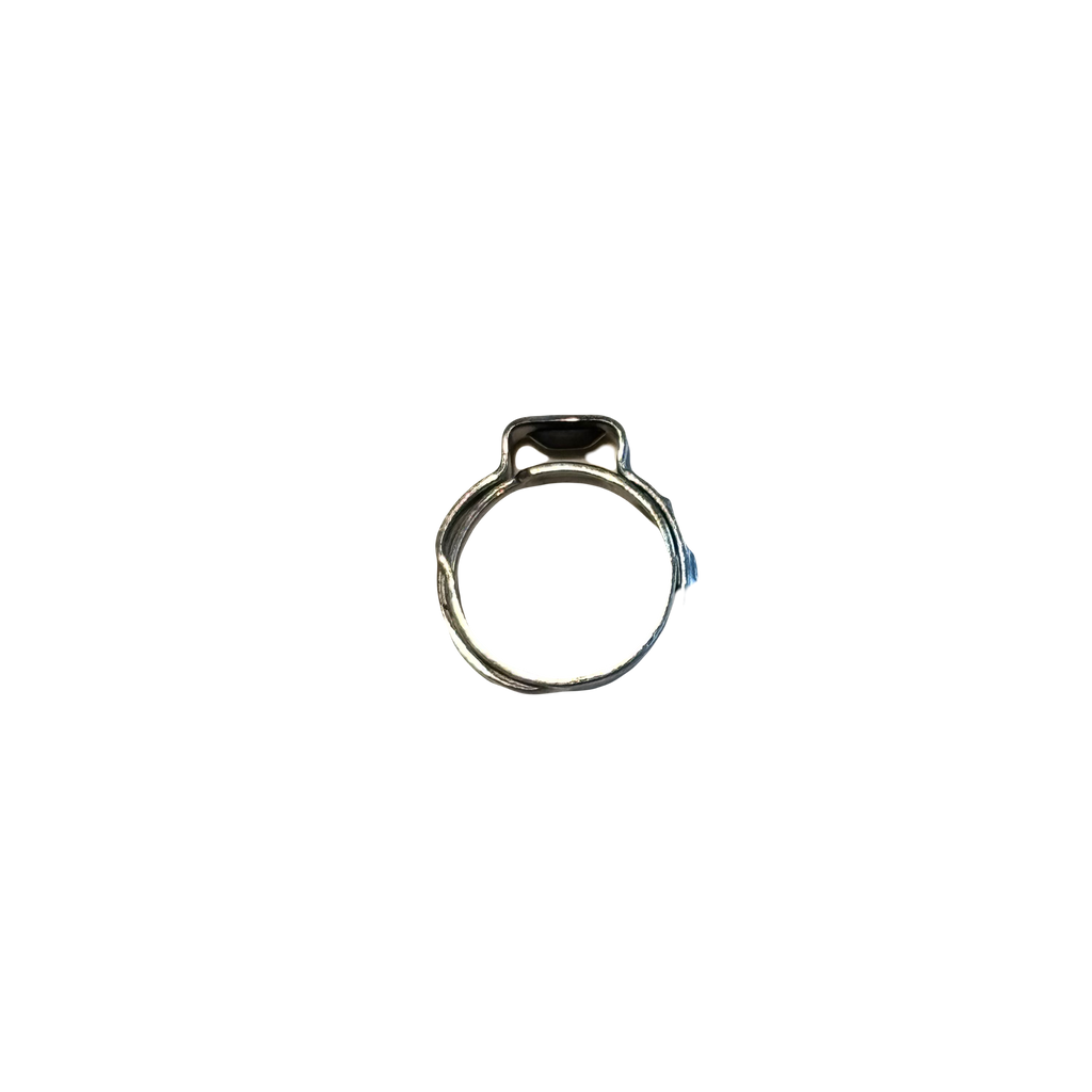 11.5-14mm Stainless Steel Single Ear Clamp