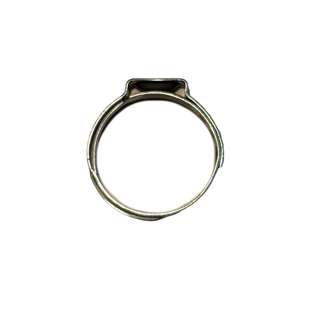 Single Ear Clamp, Stainless Steel, 16.6-19.8mm