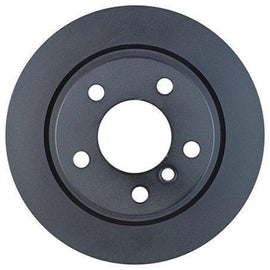 RN1723 Rear Rotor 1pc For BMW