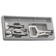 Load image into Gallery viewer, Teng 4pc Power Grip Welding Plier Set - PS-Tray