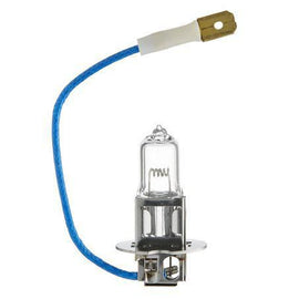 Repco H3 Globe Performance High Watt 24V 100W Pk22S Bl