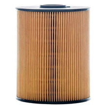 Load image into Gallery viewer, Fuel Filter Cartridge P502425