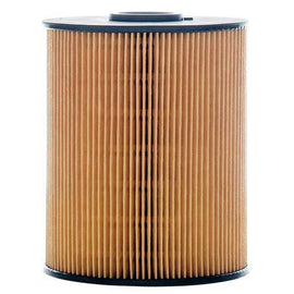 Fuel Filter Cartridge P502425