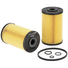 Load image into Gallery viewer, Ryco Fuel Filter (Cartridge Hd) R2825P