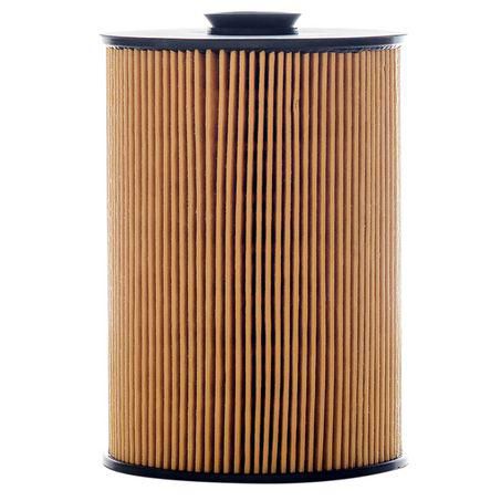 Fuel Filter Cartridge P502371