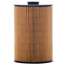Fuel Filter Cartridge P502371